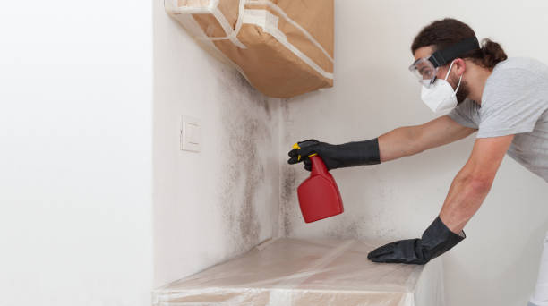 Professional Basement Mold Removal technician working in Deer Park, NY